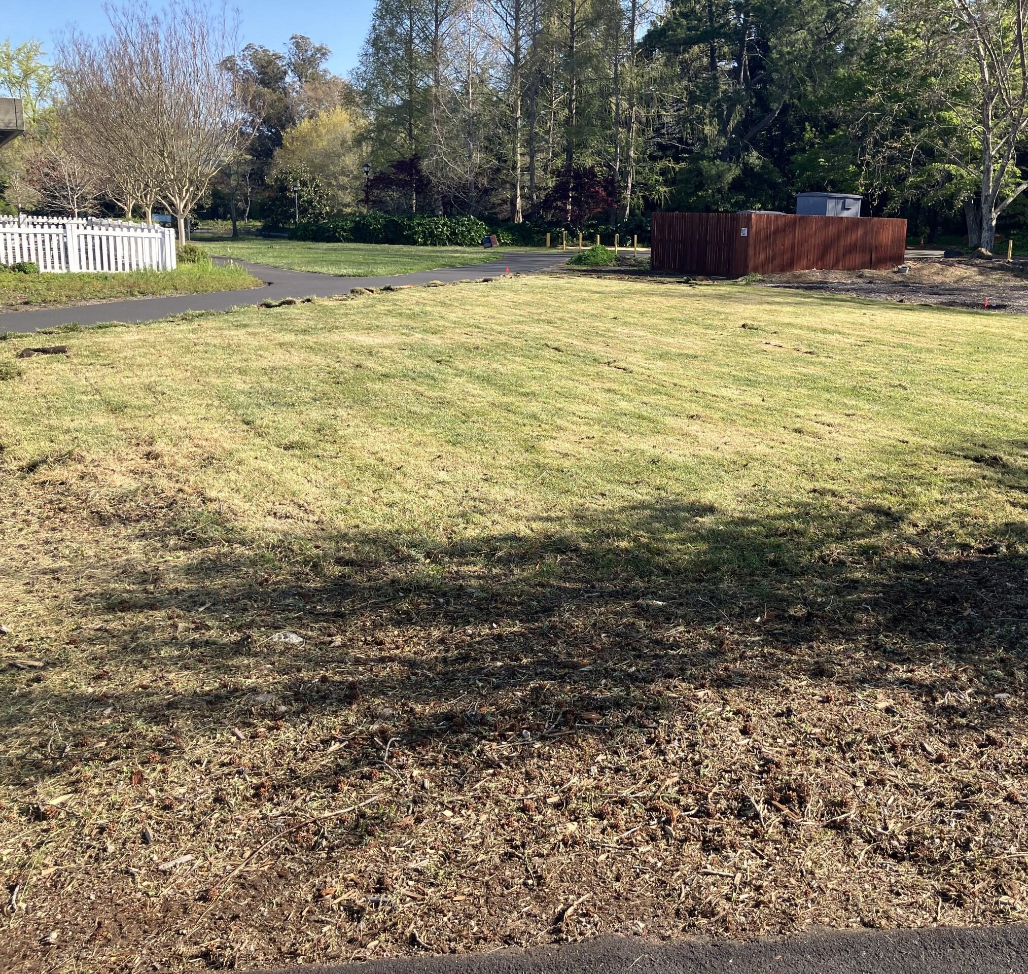 lawn