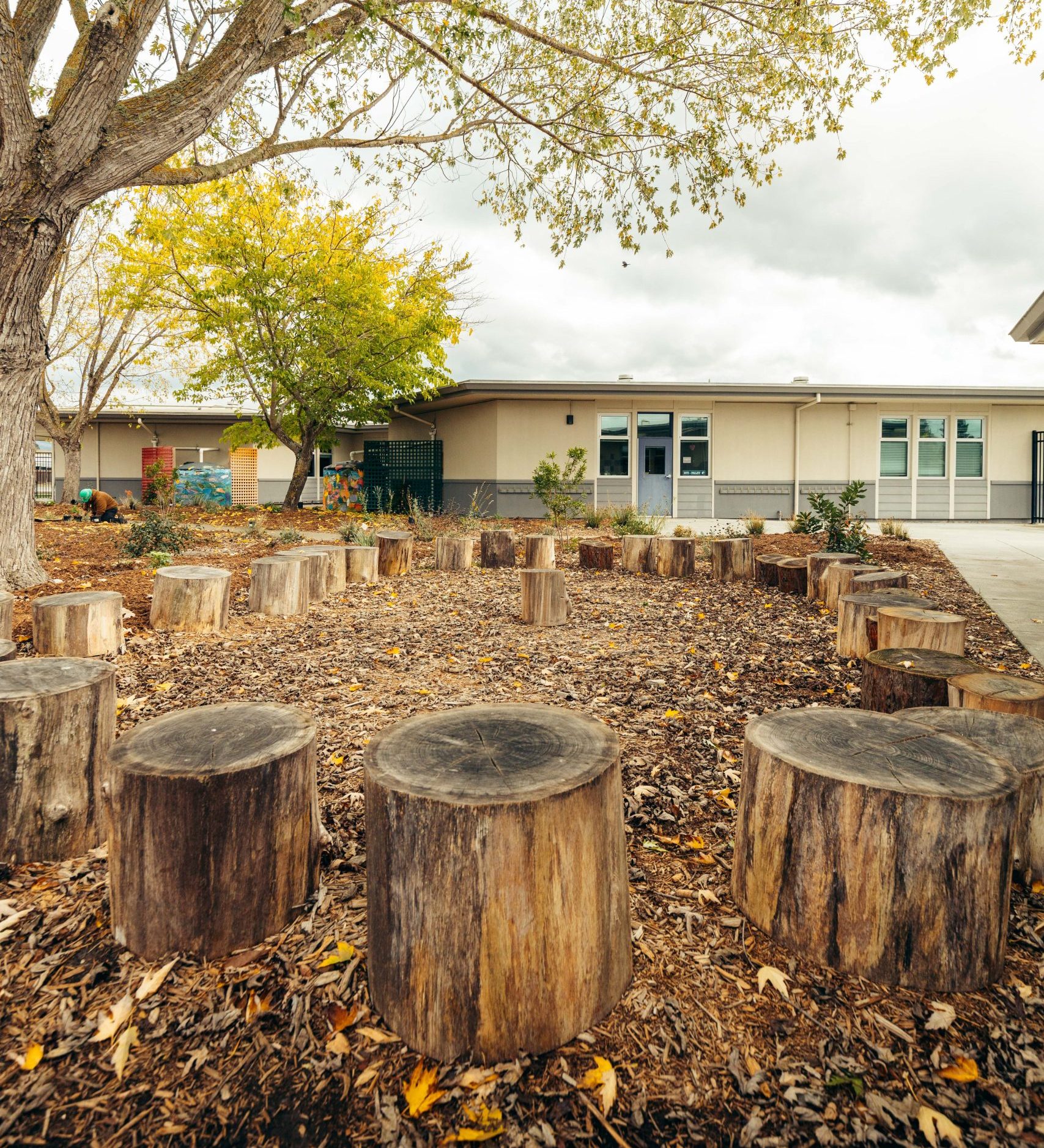 circle of tree stump seats