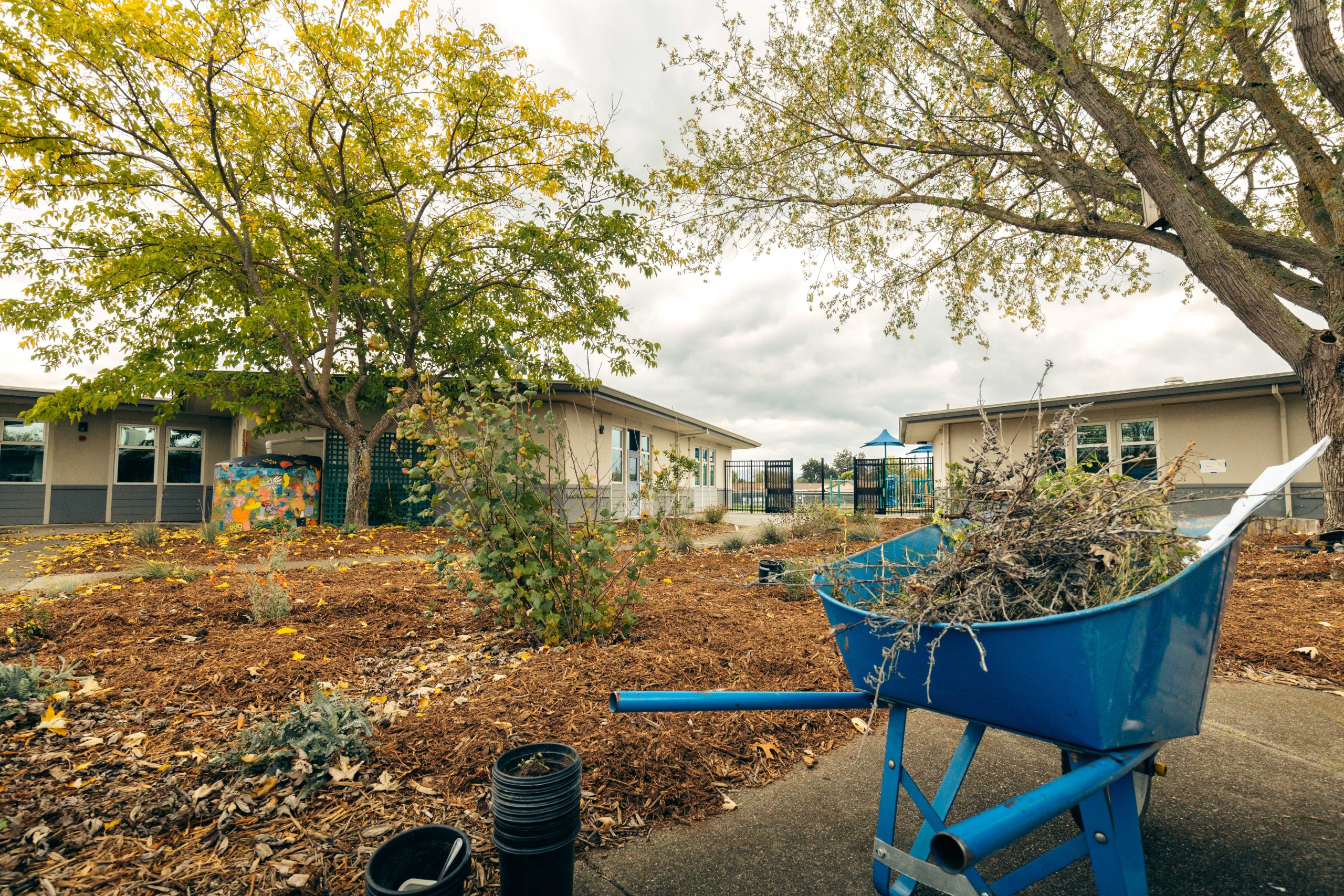 wheelbarrow