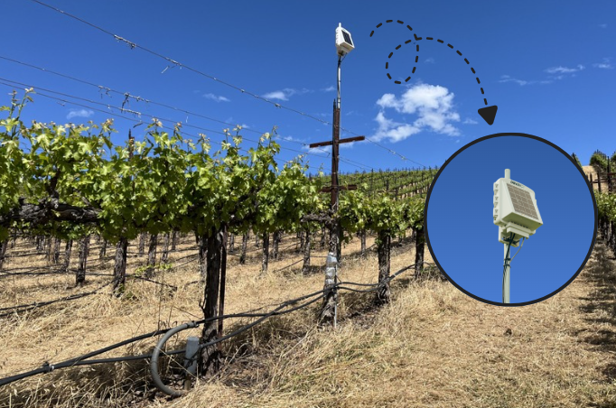 vine stress monitoring tool