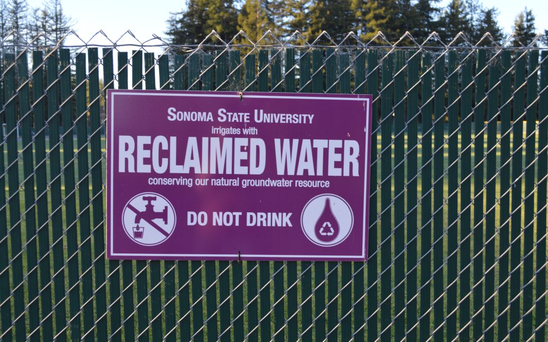purple sign that says "Sonoma State University irrigates with reclaimed water conserving our groundwater resource do not drink"