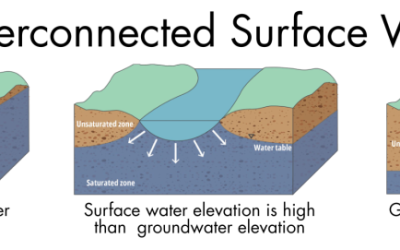 What is Interconnected Surface Water? What do we know about it in our GSA basins?