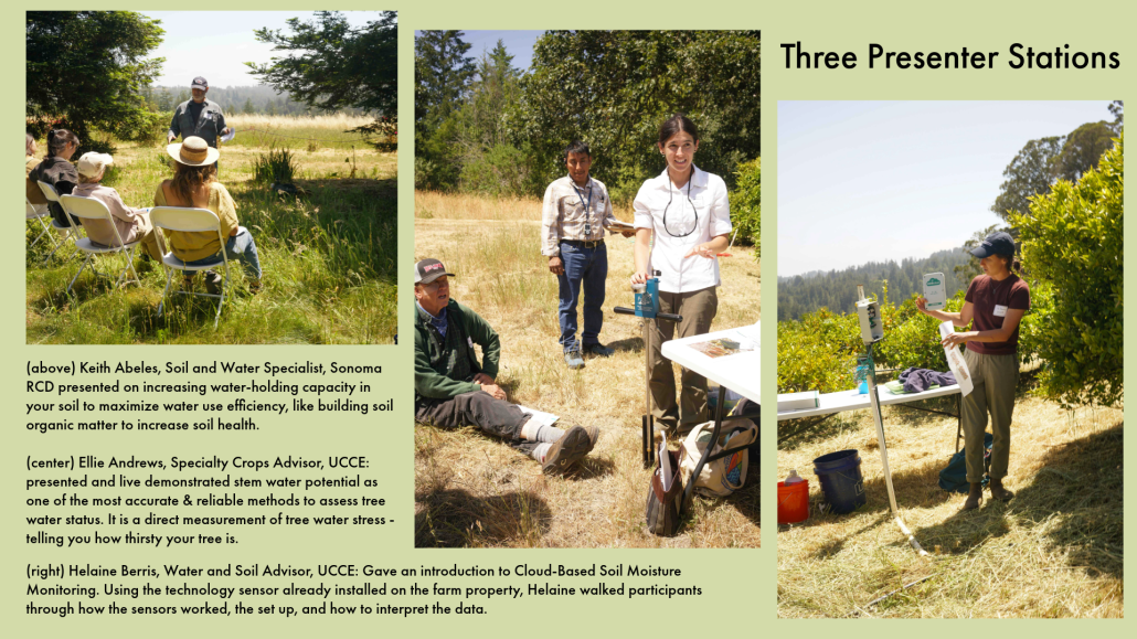 three photos: Keith Abeles, Soil and Water Specialist, Sonoma RCD: presented on increasing water-holding capacity in your soil to maximize water use efficiency, like building soil organic matter to increase soil health. Ellie Andrews, Specialty Crops Advisor, UCCE: presented and live demonstrated stem water potential as one of the most accurate & reliable methods to assess tree water status. It is a direct measurement of tree water stress - telling you how thirsty your tree is. Helaine Berris, Water and Soil Advisor, UCCE: Gave an intro to Cloud-Based Soil Moisture Monitoring. Using the technology sensor already installed on the farm property, Helaine walked participants through how the sensors worked, the set up, and how to interpret the data.