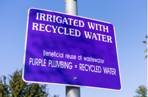 Recycled Water Planning in Santa Rosa Plain