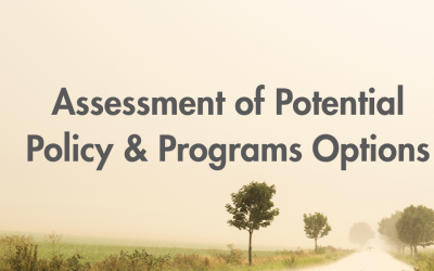 Assessment of Potential Policy & Programs Options